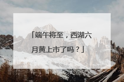端午将至，西湖六月黄上市了吗？