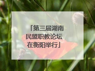 第三届湖南民盟职教论坛在衡阳举行