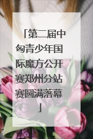 第二届中匈青少年国际魔方公开赛郑州分站赛圆满落幕