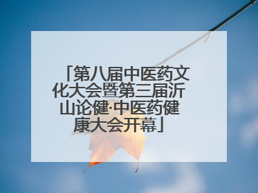 第八届中医药文化大会暨第三届沂山论健·中医药健康大会开幕