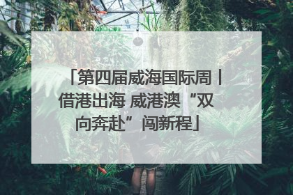 第四届威海国际周丨借港出海 威港澳“双向奔赴”闯新程