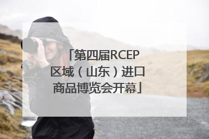 第四届RCEP区域（山东）进口商品博览会开幕
