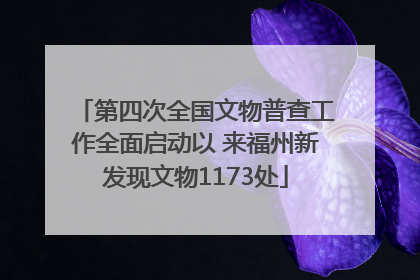 第四次全国文物普查工作全面启动以 来福州新发现文物1173处