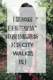 第30届“白玉兰绽放”电视节临港新片区CITY WALK路线