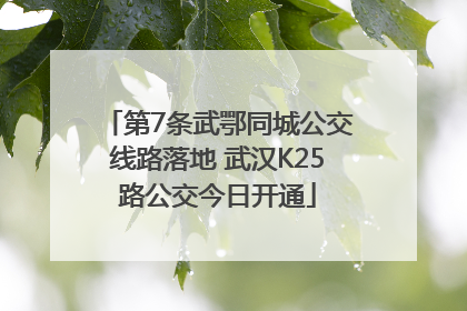 第7条武鄂同城公交线路落地 武汉K25路公交今日开通