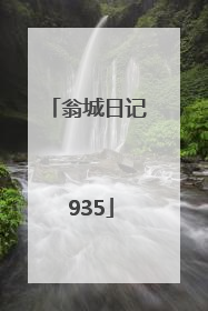 翁城日记 935