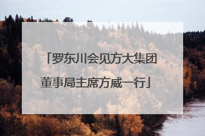 罗东川会见方大集团董事局主席方威一行