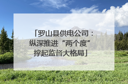 罗山县供电公司：纵深推进“两个度” 撑起监督大格局