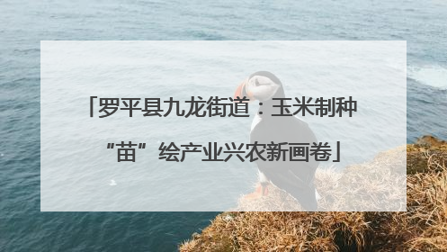 罗平县九龙街道：玉米制种“苗”绘产业兴农新画卷