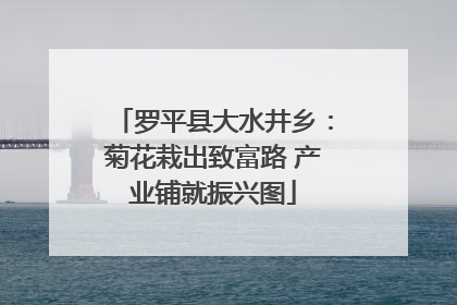罗平县大水井乡：菊花栽出致富路 产业铺就振兴图
