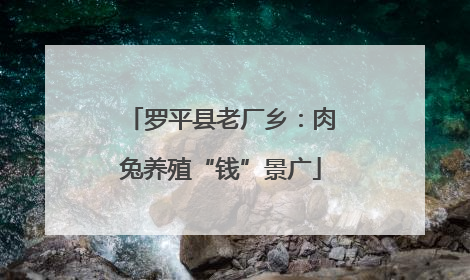 罗平县老厂乡：肉兔养殖“钱”景广