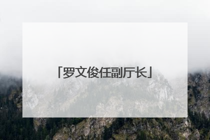 罗文俊任副厅长