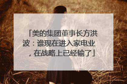 美的集团董事长方洪波：谁现在进入家电业，在战略上已经输了