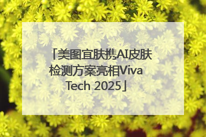 美图宜肤携AI皮肤检测方案亮相VivaTech 2025