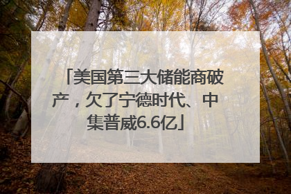美国第三大储能商破产，欠了宁德时代、中集普威6.6亿