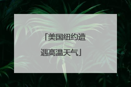 美国纽约遭遇高温天气