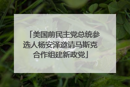 美国前民主党总统参选人杨安泽邀请马斯克合作组建新政党