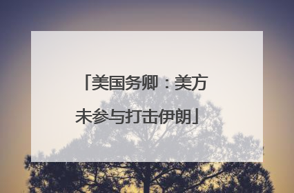 美国务卿：美方未参与打击伊朗