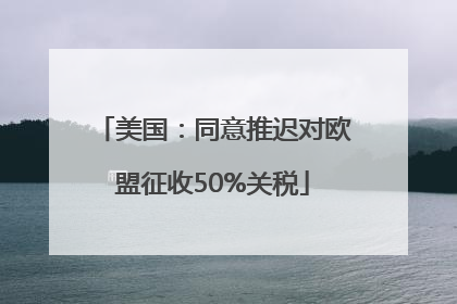 美国：同意推迟对欧盟征收50%关税