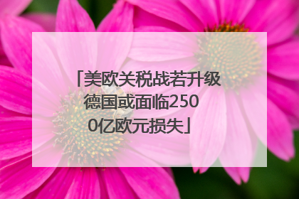 美欧关税战若升级 德国或面临2500亿欧元损失
