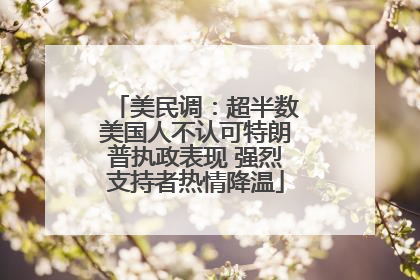 美民调：超半数美国人不认可特朗普执政表现 强烈支持者热情降温