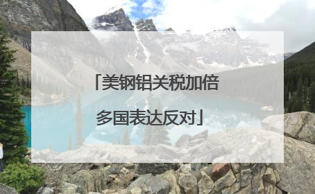 美钢铝关税加倍 多国表达反对
