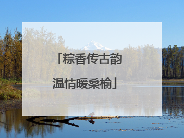 粽香传古韵 温情暖桑榆