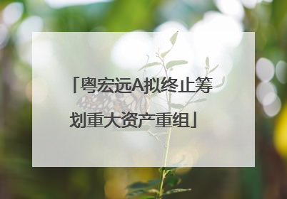 粤宏远A拟终止筹划重大资产重组