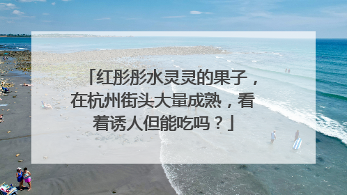 红彤彤水灵灵的果子，在杭州街头大量成熟，看着诱人但能吃吗？