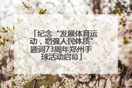 纪念“发展体育运动，增强人民体质”题词73周年郑州手球活动启幕