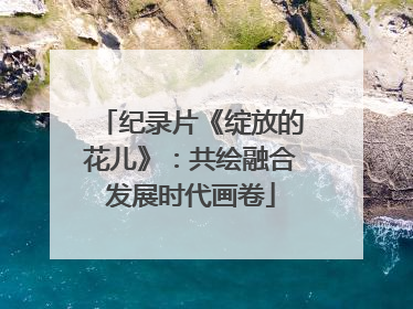 纪录片《绽放的花儿》：共绘融合发展时代画卷
