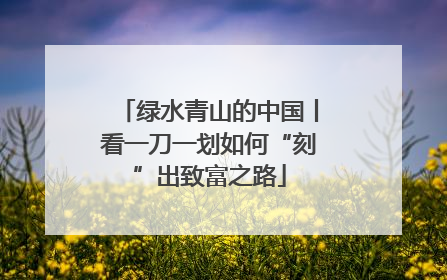 绿水青山的中国丨看一刀一划如何“刻”出致富之路