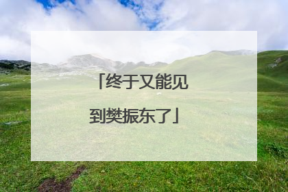终于又能见到樊振东了