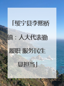 绥宁县李熙桥镇：人大代表勤履职 服务民生显担当