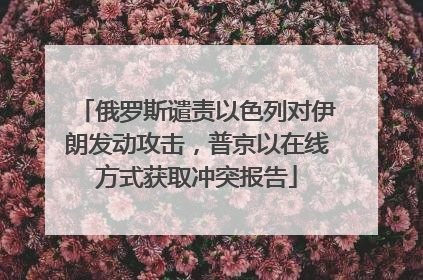 俄罗斯谴责以色列对伊朗发动攻击，普京以在线方式获取冲突报告