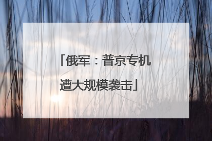 俄军：普京专机遭大规模袭击