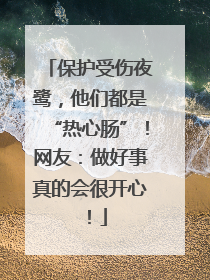 保护受伤夜鹭，他们都是“热心肠”！网友：做好事真的会很开心！