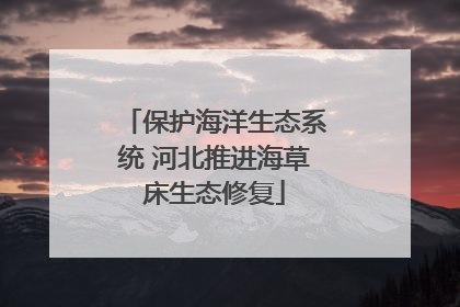 保护海洋生态系统 河北推进海草床生态修复