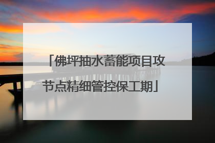 佛坪抽水蓄能项目攻节点精细管控保工期
