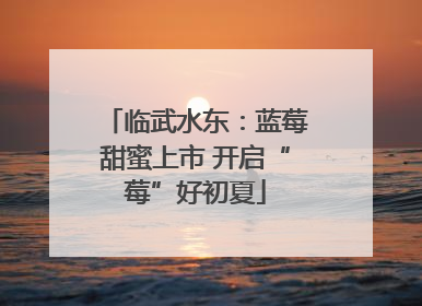临武水东：蓝莓甜蜜上市 开启“莓”好初夏