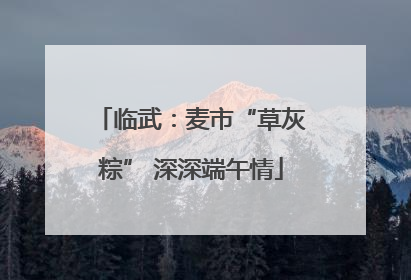 临武：麦市“草灰粽” 深深端午情