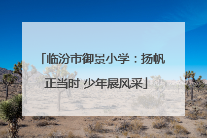 临汾市御景小学：扬帆正当时 少年展风采
