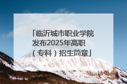 临沂城市职业学院发布2025年高职（专科）招生简章