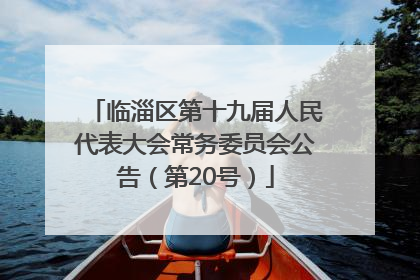 临淄区第十九届人民代表大会常务委员会公告（第20号）