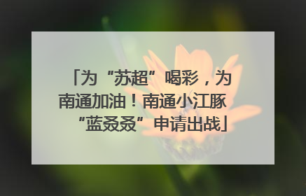为“苏超”喝彩，为南通加油！南通小江豚“蓝叒叒”申请出战