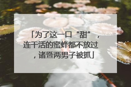 为了这一口“甜”，连干活的蜜蜂都不放过，诸暨两男子被抓