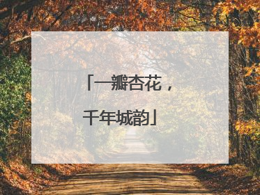 一瓣杏花，千年城韵