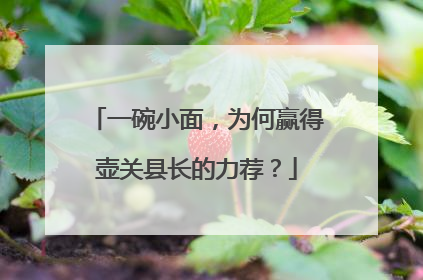 一碗小面，为何赢得壶关县长的力荐？