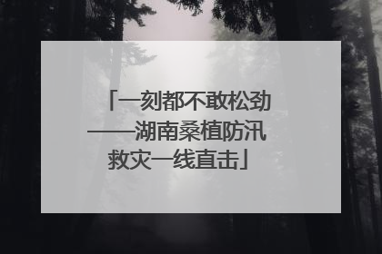 一刻都不敢松劲——湖南桑植防汛救灾一线直击