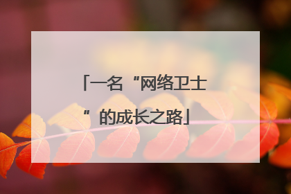 一名“网络卫士”的成长之路